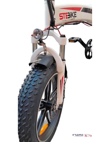 Bici a a pedalata assistita Ste-Bike...