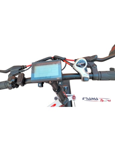 Bici a a pedalata assistita Ste-Bike...