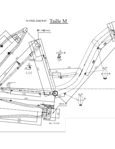 Bici Vintage Scrapper modello Railway...