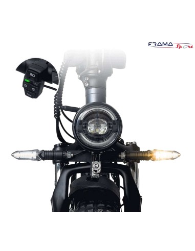 Fat-bike pieghevole Drvetion AT20 All...