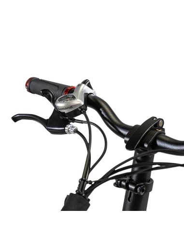 Fat-bike 250W EMG creata in...