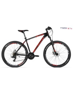 Bicicletta Bottecchia 107...
