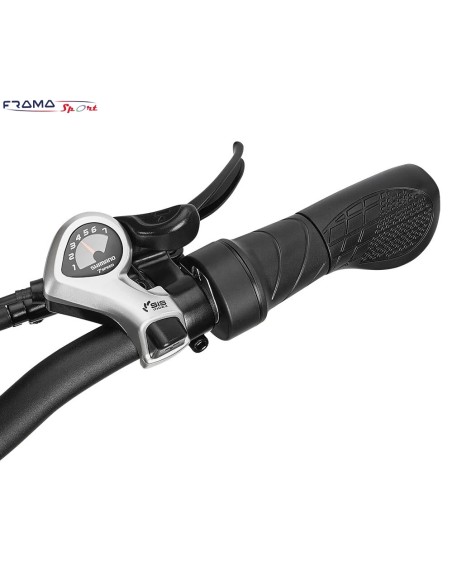 Fat bike Drvetion BT 20 750W 48V 10Ah