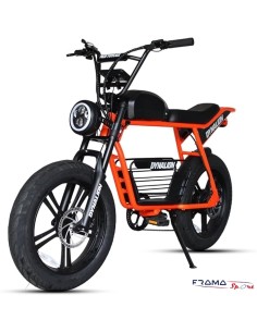 Fat bike elettrica RT3...