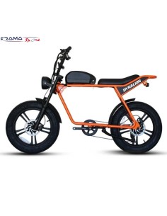 Fat bike elettrica RT3... 2