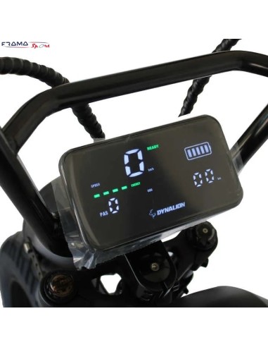 Fat bike elettrica RT3 Dynalion 750W...