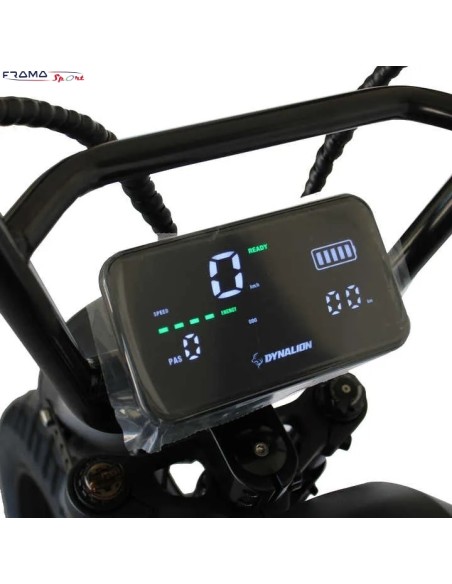 Fat bike elettrica RT3 Dynalion 750W Arancione