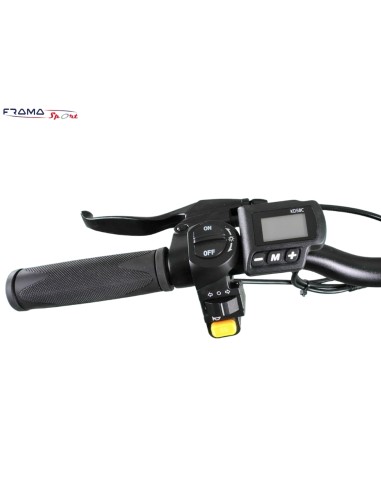 Bici elettrica a pedalata assistita...