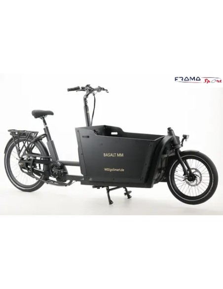 Weegosmart CargBa a pedalata assistita 250w