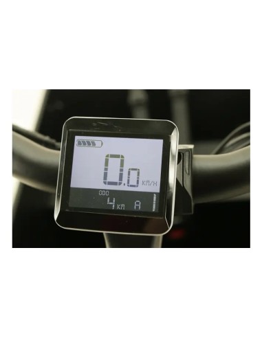 Weegosmart CargBa a pedalata...