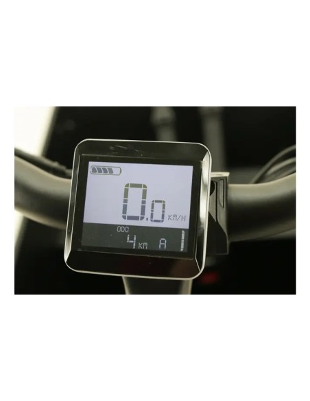 Weegosmart CargBa a pedalata assistita 250w