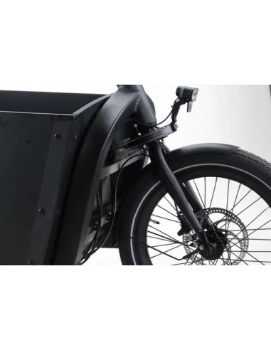 Weegosmart CargBa a pedalata...