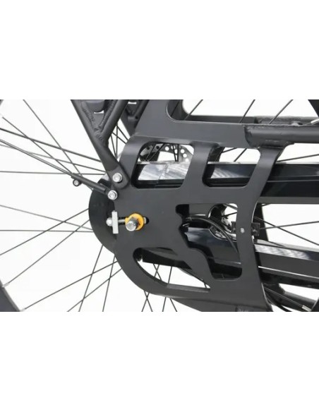 Weegosmart CargBa a pedalata assistita 250w