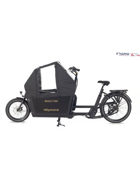 Weegosmart CargBa a pedalata assistita 250w