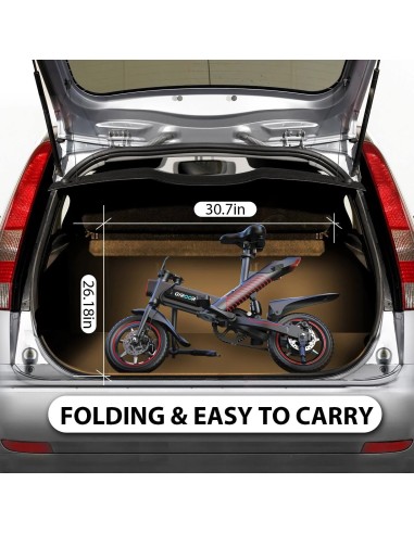 Bicicletta elettrica pieghevole...