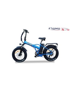 Fat bike Lem Motor modello...