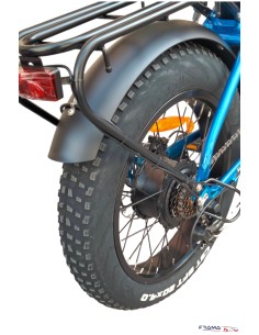 Fat bike Lem Motor modello... 2
