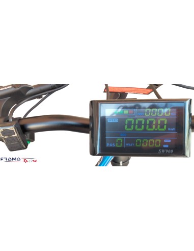 Fat bike Lem Motor modello Orlando...