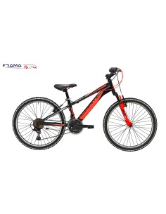 Bicicletta Adriatica...