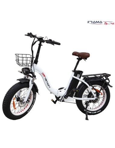 Fat-bike pieghevole DrVetion modello...