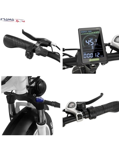 Fat-bike pieghevole DrVetion modello...