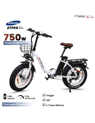 Fat-bike pieghevole DrVetion modello...