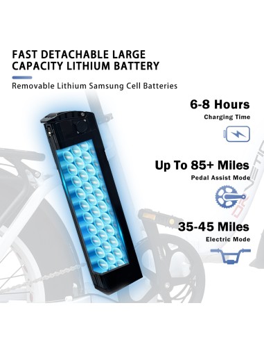 Fat-bike pieghevole DrVetion modello...