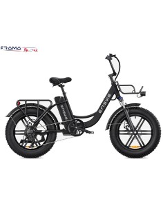 Fat-bike  Engwe modello L20... 2
