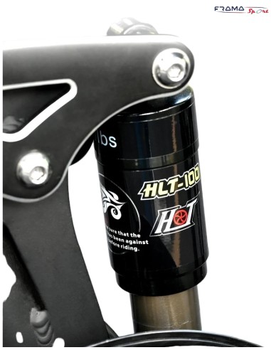 Fat- bike pieghevole Engwe Engine X...