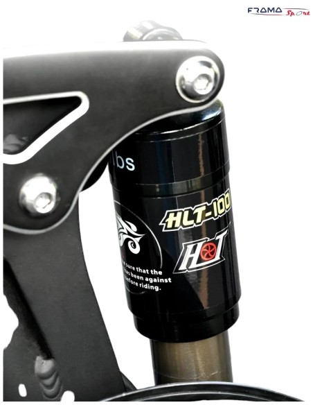 Fat- bike pieghevole Engwe Engine X 250/750 W bianca