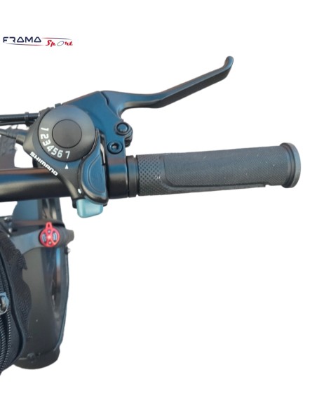 Bici a pedalata assistita pieghevole Lem Motor modello Orlando 250W NERA