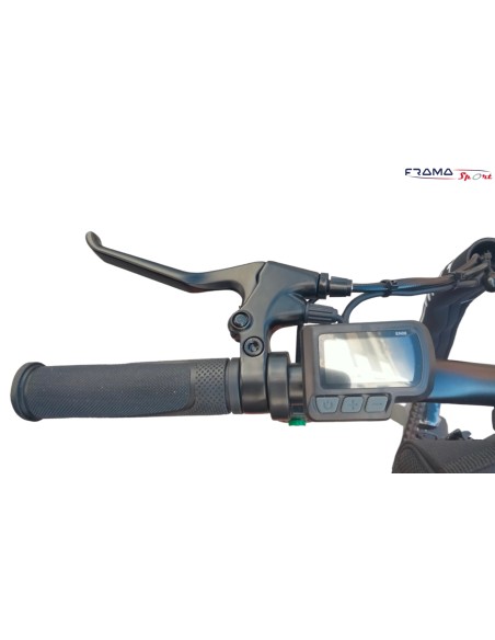 Bici a pedalata assistita pieghevole Lem Motor modello Orlando 250W  Arancio