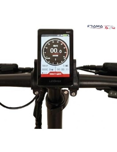 Bici a pedalata assistita NCX modello...