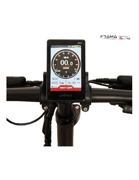 Bici a pedalata assistita NCX modello RD8 ALLOY 20" 250W 48V nero/blu