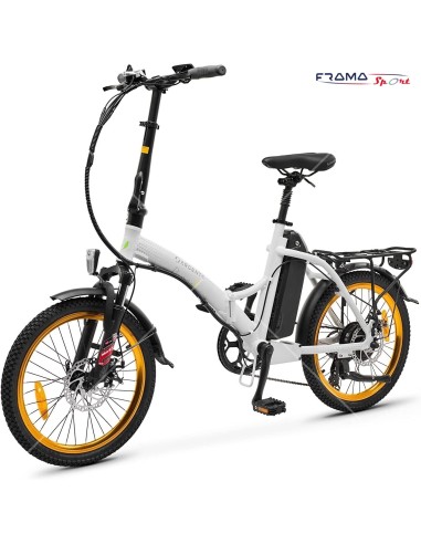 Bici a pedalata assistita Argento...