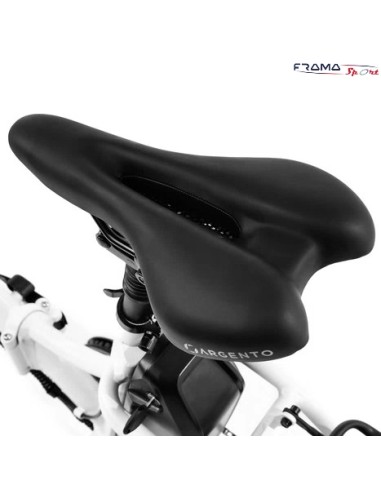 Bici a pedalata assistita Argento...
