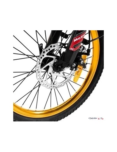 Bici a pedalata assistita Argento...