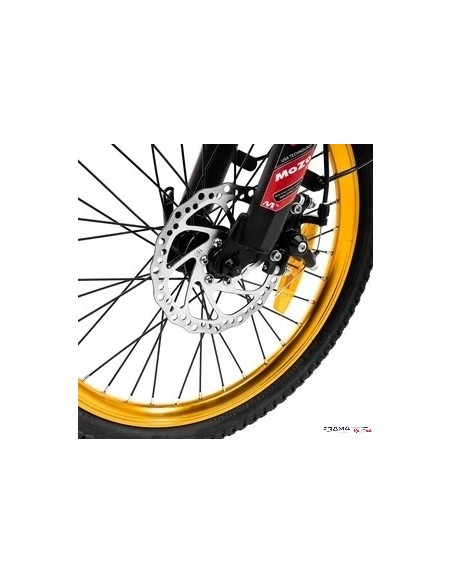 Bici a pedalata assistita Argento modello Piuma S 20'' 250w bianca