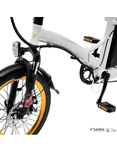 Bici a pedalata assistita Argento...