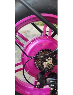 Bici a pedalata assistita... 2