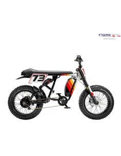 Bici a pedalata assistita...