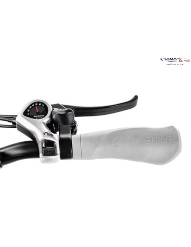 Bici a pedalata assistita pieghevole...