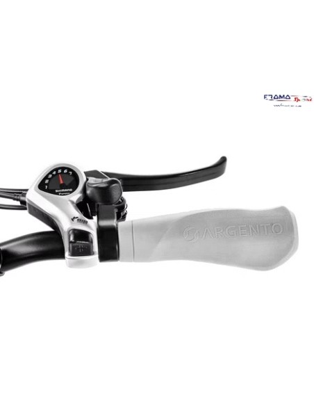 Bici a pedalata assistita pieghevole  Argento modello Piuma 250w 20''