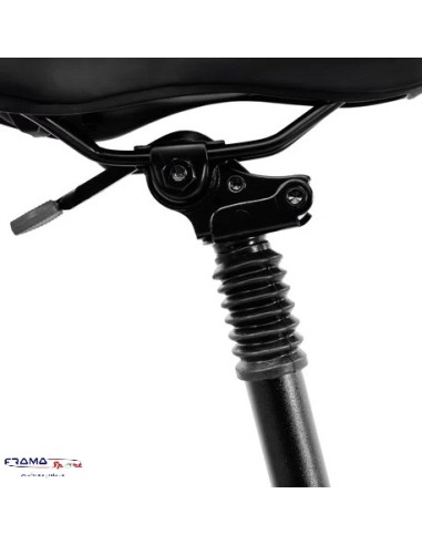 Bici a pedalata assistita pieghevole...