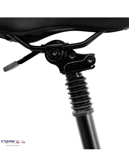 Bici a pedalata assistita pieghevole  Argento modello Piuma 250w 20''