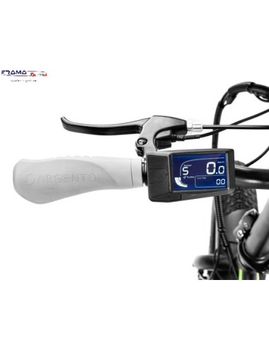 Bici a pedalata assistita pieghevole...