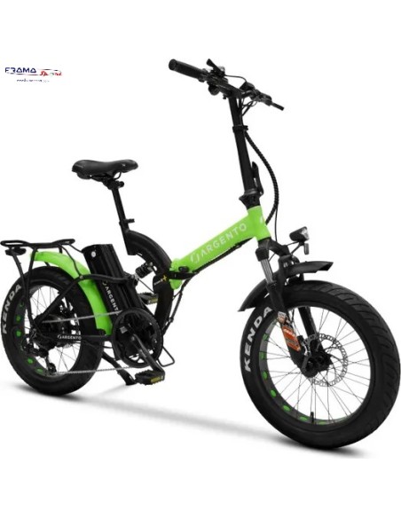 Bici a pedalata assistita Argento modello Bi-Max S 250W nero/verde