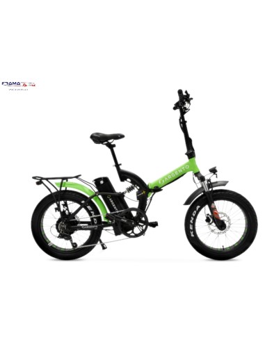 Bici a pedalata assistita Argento...