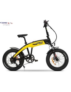 Bici a pedalata assistita...