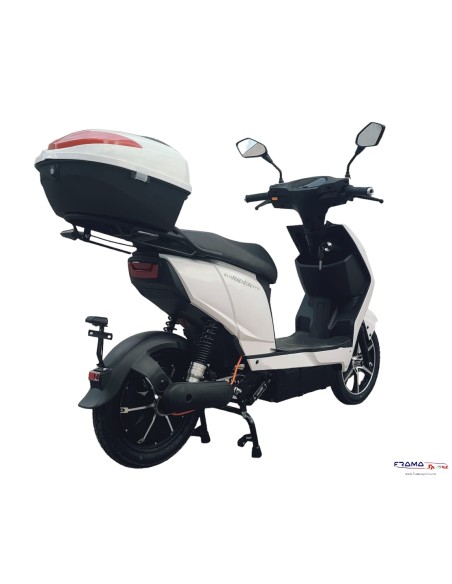 Scooter Elettrico Ncx modello Eco Rider Evo 800w bianco